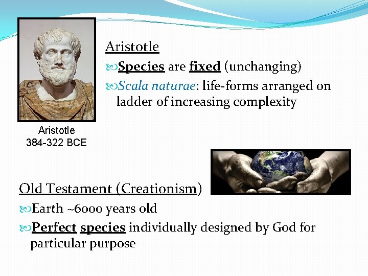 Aristotle Species are fixed (unchanging) Scala naturae: life-forms arranged on ladder of increasing complexity Aristotle Species are fixed (unchanging) Scala naturae: life-forms arranged on ladder of increasing complexity