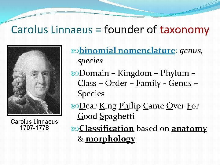 Carolus Linnaeus = founder of taxonomy Carolus Linnaeus 1707 -1778 binomial nomenclature: genus, species Carolus Linnaeus = founder of taxonomy Carolus Linnaeus 1707 -1778 binomial nomenclature: genus, species
