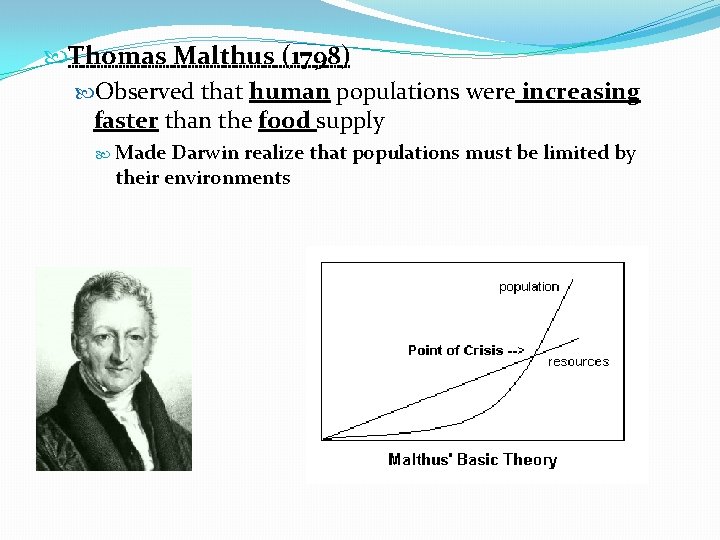 Thomas Malthus (1798) Observed that human populations were increasing faster than the food Thomas Malthus (1798) Observed that human populations were increasing faster than the food