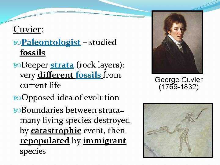 Cuvier: Paleontologist – studied fossils Deeper strata (rock layers): very different fossils from current Cuvier: Paleontologist – studied fossils Deeper strata (rock layers): very different fossils from current