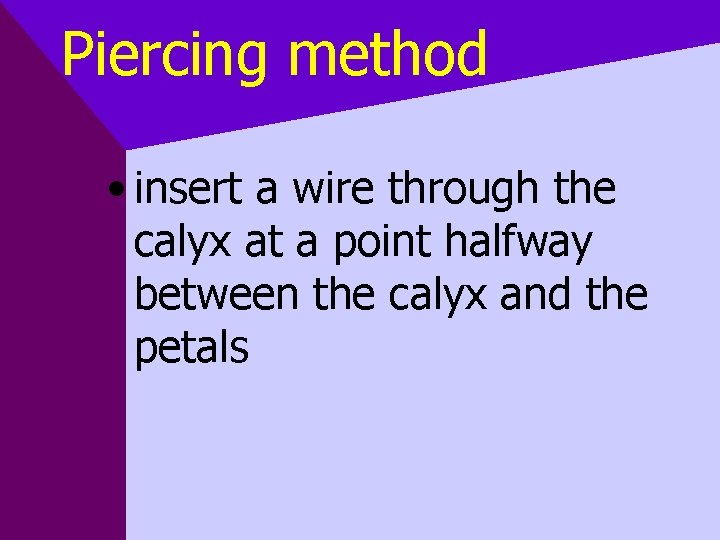 Piercing method • insert a wire through the calyx at a point halfway between