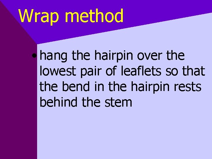 Wrap method • hang the hairpin over the lowest pair of leaflets so that