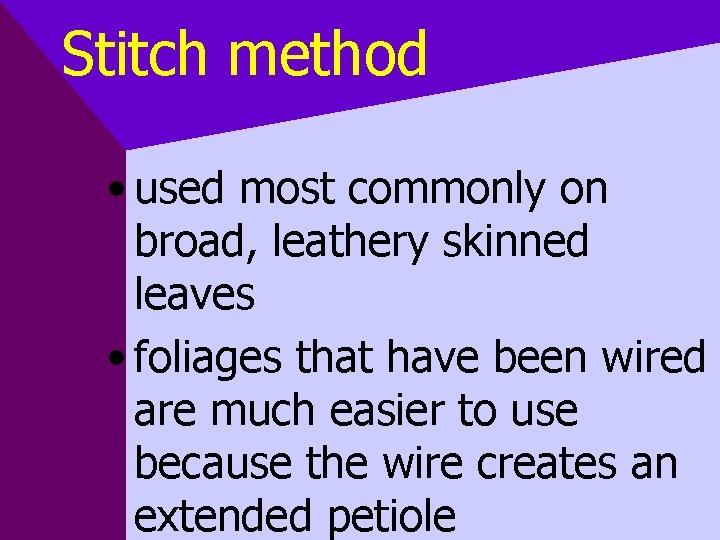 Stitch method • used most commonly on broad, leathery skinned leaves • foliages that