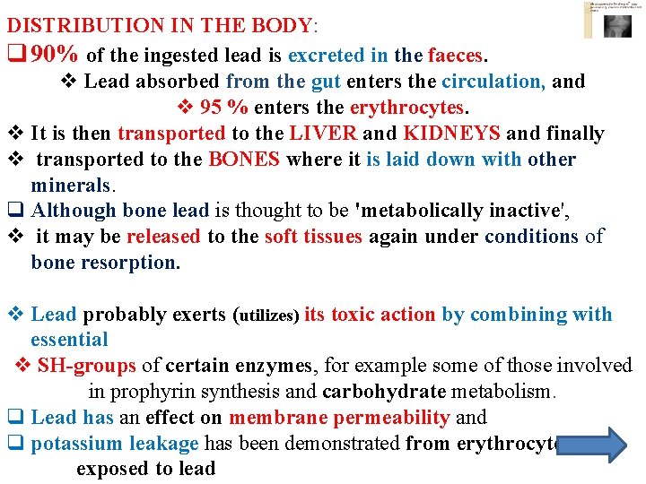 DISTRIBUTION IN THE BODY: q 90% of the ingested lead is excreted in the