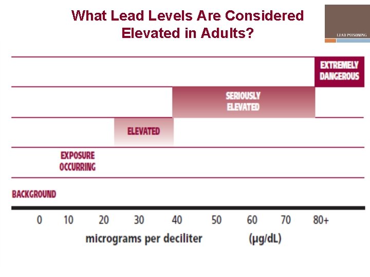 What Lead Levels Are Considered Elevated in Adults? 