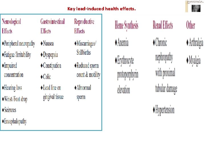 Key lead-induced health effects. 