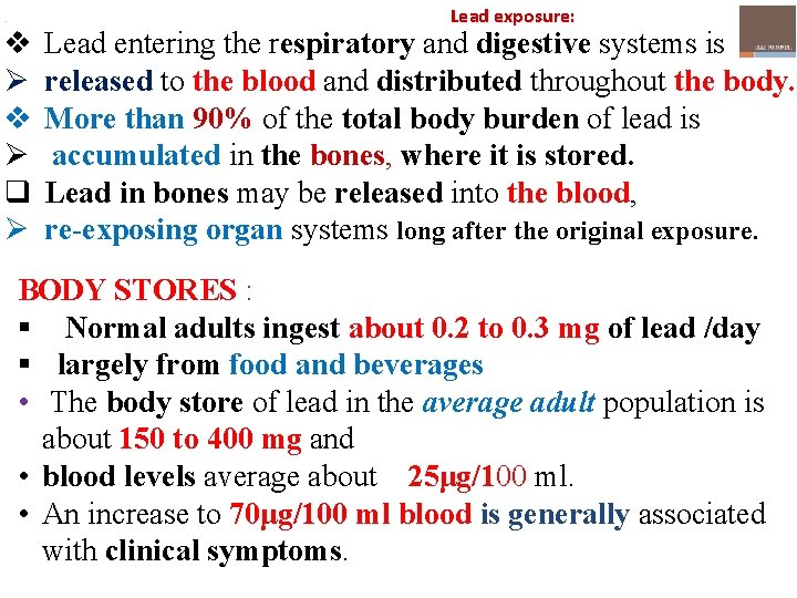 . v Ø q Ø Lead exposure: Lead entering the respiratory and digestive systems
