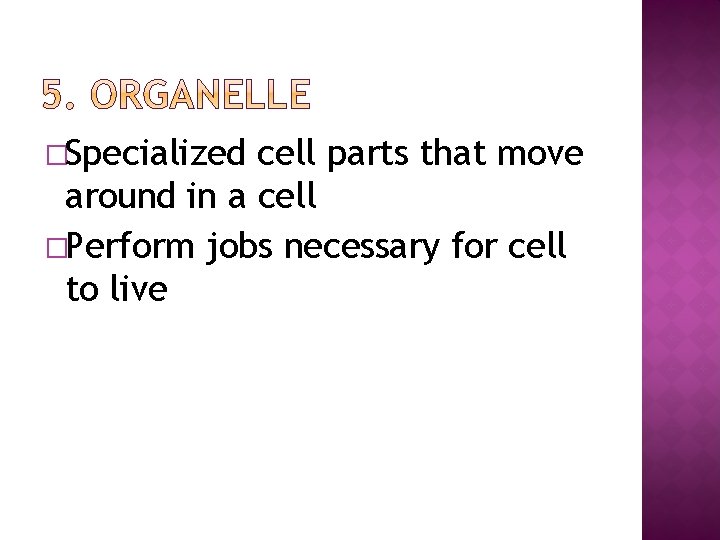 �Specialized cell parts that move around in a cell �Perform jobs necessary for cell