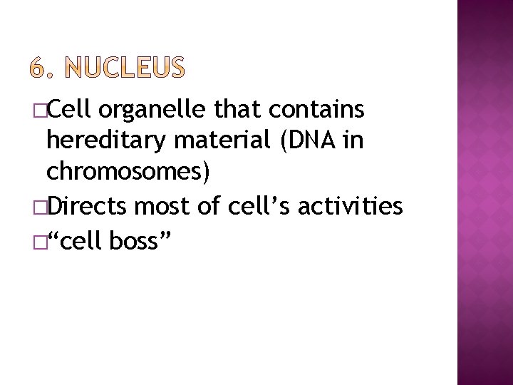 �Cell organelle that contains hereditary material (DNA in chromosomes) �Directs most of cell’s activities