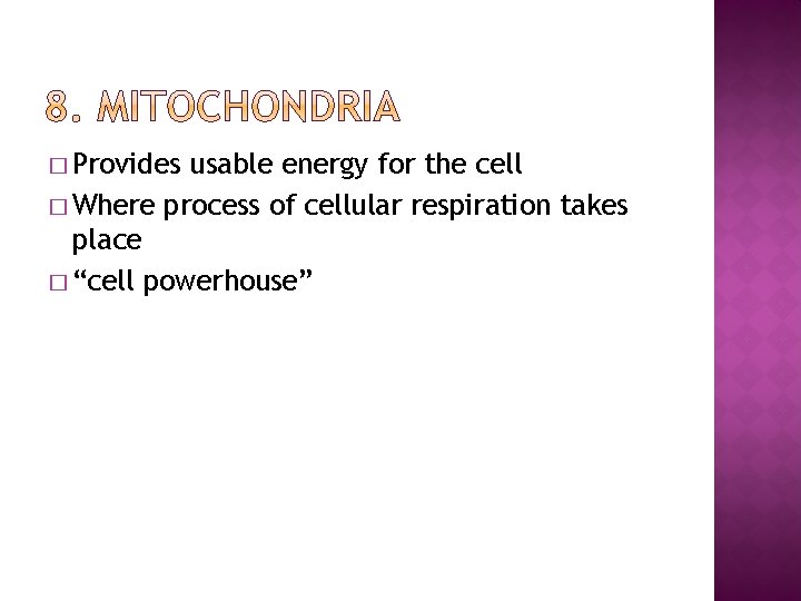 � Provides usable energy for the cell � Where process of cellular respiration takes