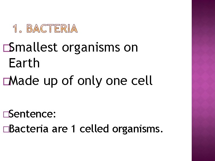 �Smallest organisms on Earth �Made up of only one cell �Sentence: �Bacteria are 1