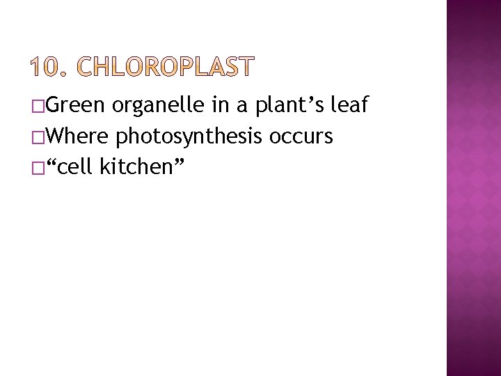 �Green organelle in a plant’s leaf �Where photosynthesis occurs �“cell kitchen” 