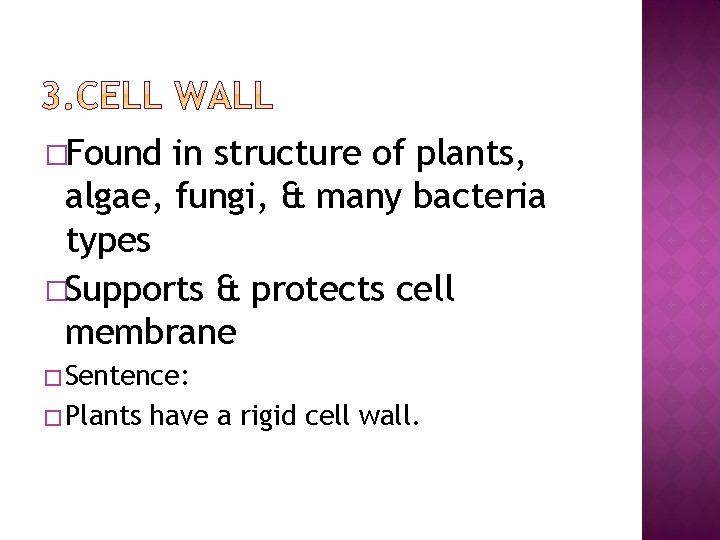 �Found in structure of plants, algae, fungi, & many bacteria types �Supports & protects