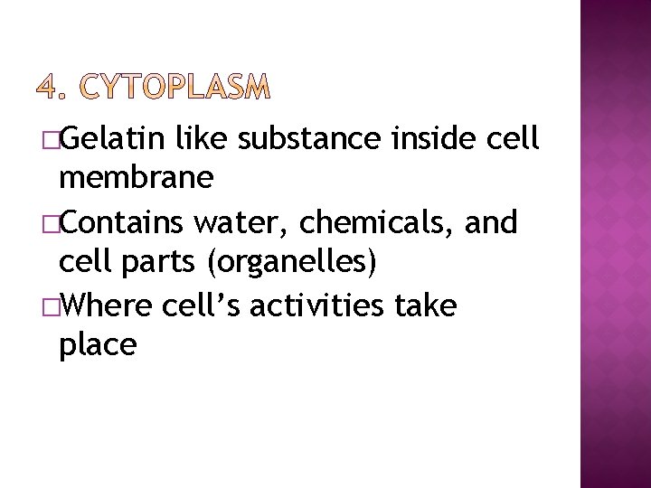 �Gelatin like substance inside cell membrane �Contains water, chemicals, and cell parts (organelles) �Where