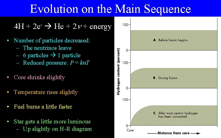 Evolution on the Main Sequence 4 H + 2 e- He + 2 +