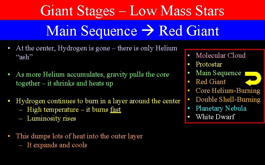 Giant Stages – Low Mass Stars Main Sequence Red Giant • At the center,
