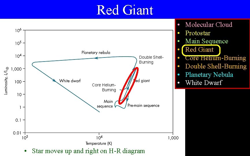Red Giant Double Shell. Burning Core Helium. Burning • Star moves up and right