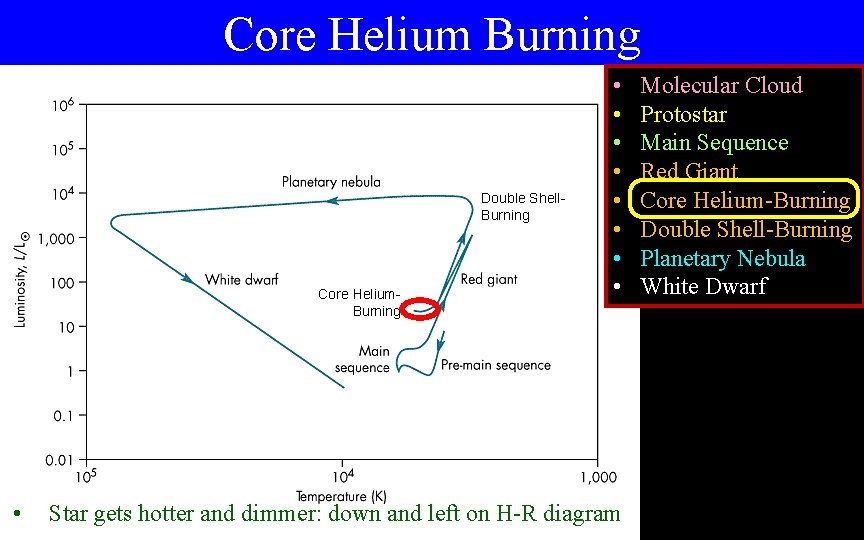 Core Helium Burning Double Shell. Burning Core Helium. Burning • • • Star gets
