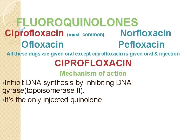 FLUOROQUINOLONES Ciprofloxacin (most common) Ofloxacin Norfloxacin Pefloxacin All these dugs are given oral except