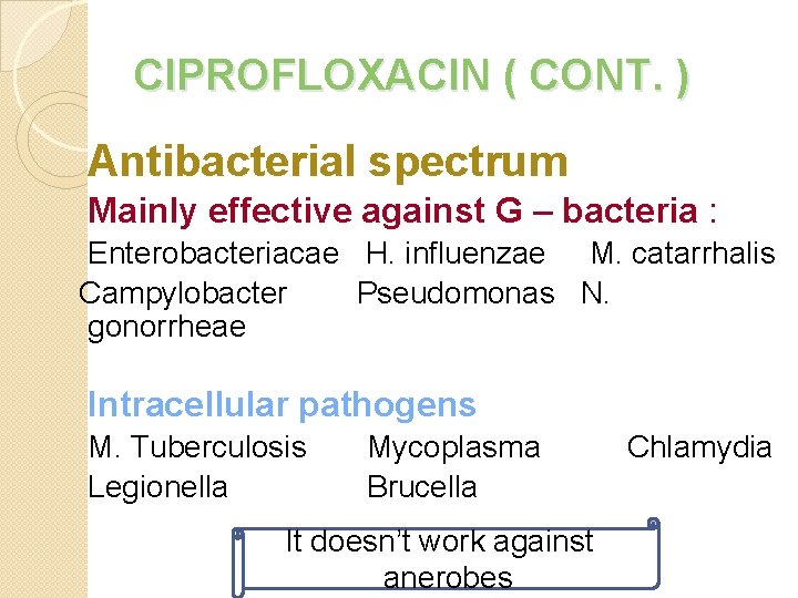 CIPROFLOXACIN ( CONT. ) Antibacterial spectrum Mainly effective against G – bacteria : Enterobacteriacae