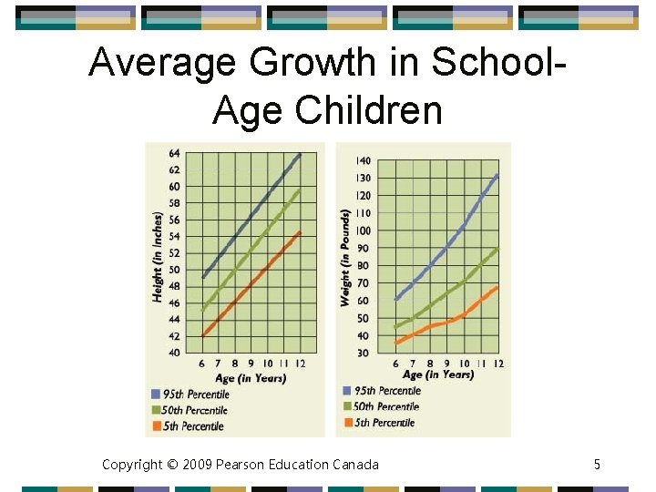 Chapter 11 Physical Development in Middle Childhood MODULES