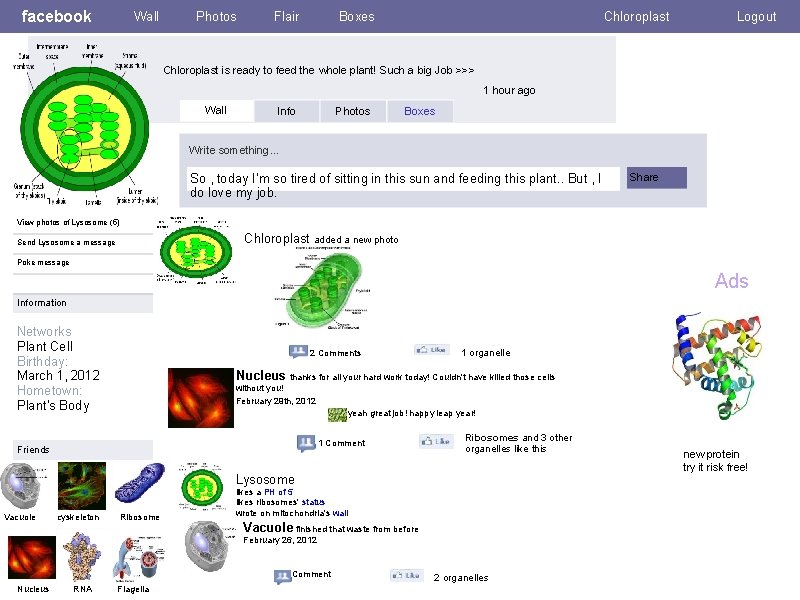 facebook Wall Photos Flair Boxes Chloroplast Logout Chloroplast is ready to feed the whole