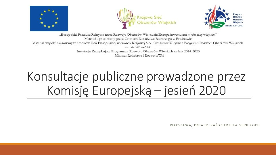 Konsultacje publiczne prowadzone przez Komisję Europejską – jesień 2020 WARSZAWA, DNIA 01 PAŹDZIERNIKA 2020