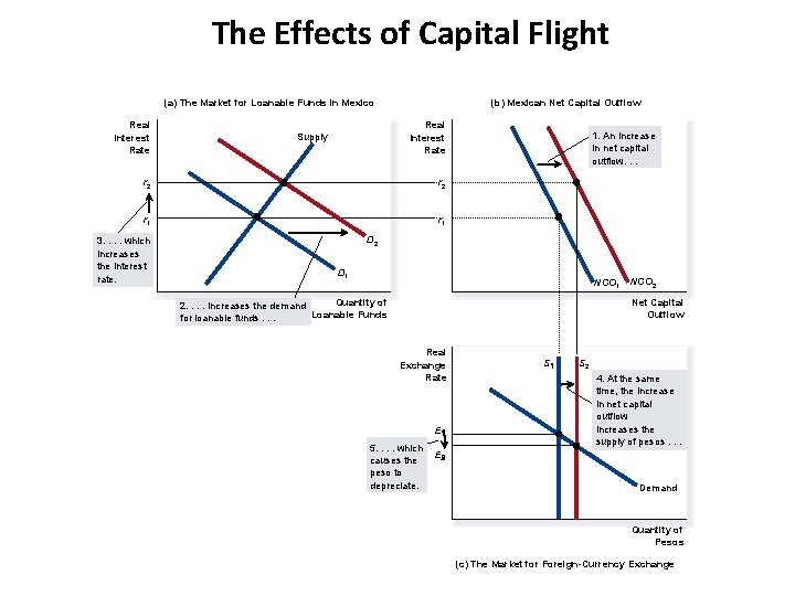The Effects of Capital Flight (a) The Market for Loanable Funds in Mexico Real