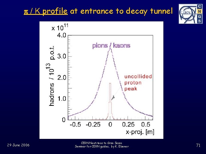 p / K profile at entrance to decay tunnel 29 June 2006 CERN Neutrinos