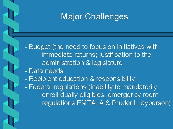 Major Challenges - Budget (the need to focus on initiatives with immediate returns) justification