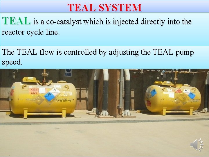 TEAL SYSTEM TEAL is a co-catalyst which is injected directly into the reactor cycle