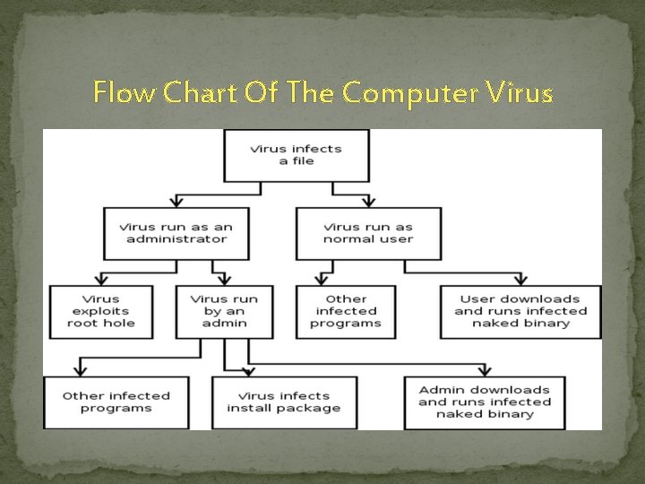 Flow Chart Of The Computer Virus 