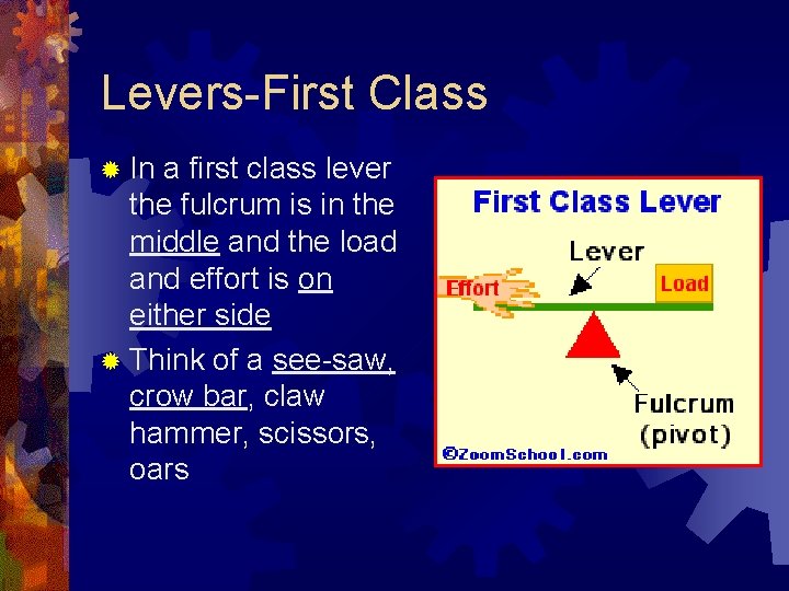 Levers-First Class ® In a first class lever the fulcrum is in the middle