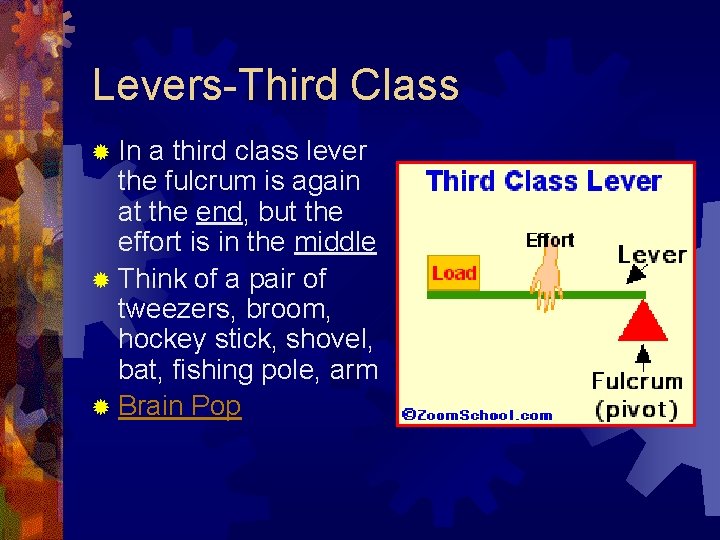 Levers-Third Class ® In a third class lever the fulcrum is again at the