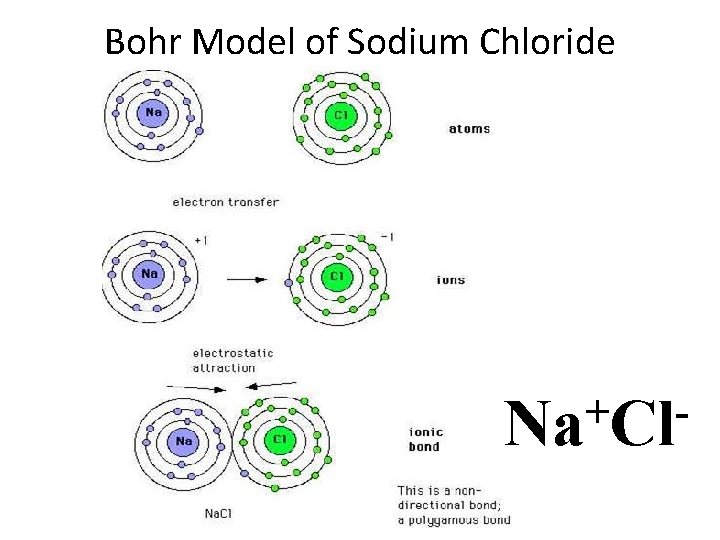 Bohr Model of Sodium Chloride + Na Cl 