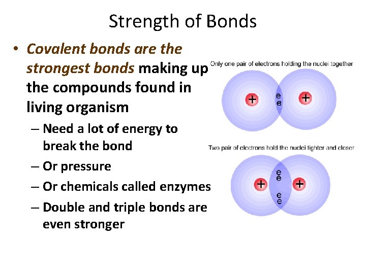Strength of Bonds • Covalent bonds are the strongest bonds making up the compounds