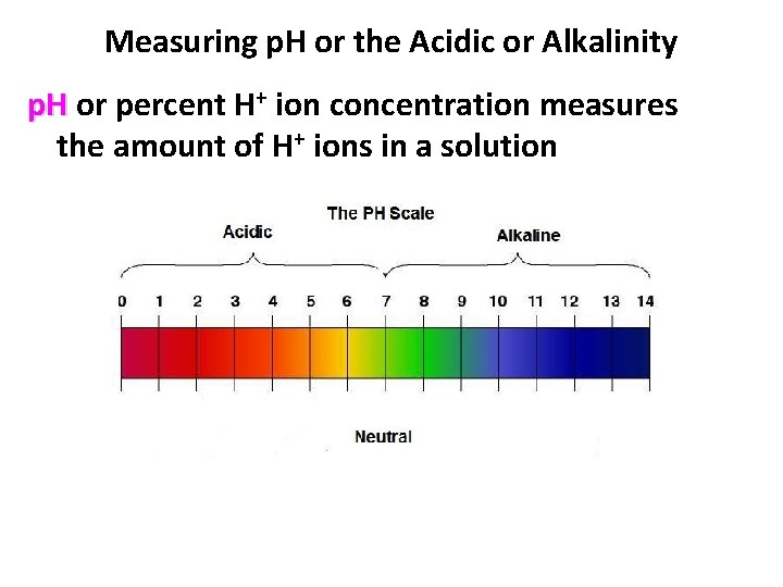 Measuring p. H or the Acidic or Alkalinity p. H or percent H+ ion