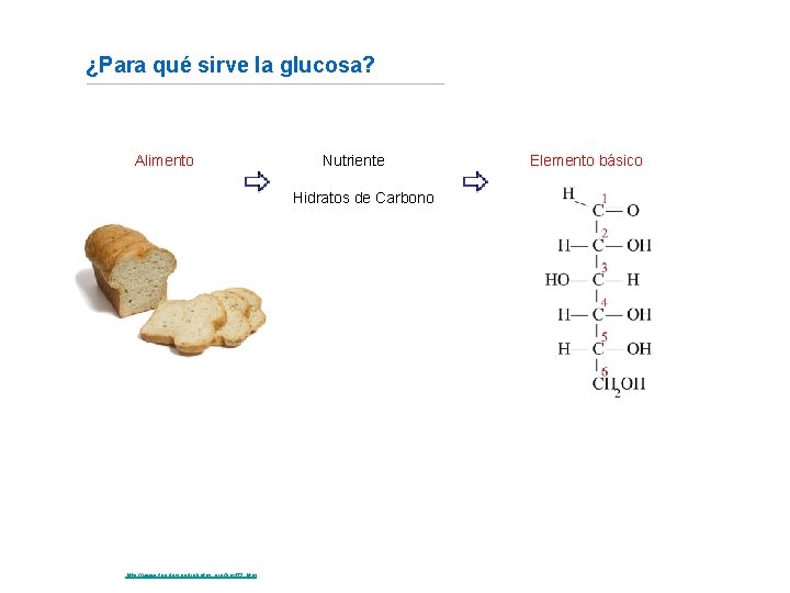 ¿Para qué sirve la glucosa? Alimento Nutriente Hidratos de Carbono Fuente: http: //www. fundaciondiabetes.