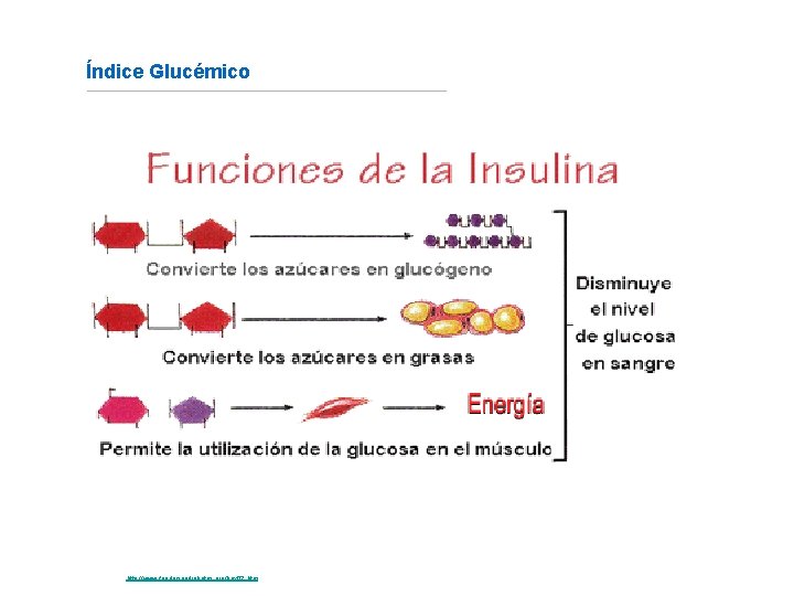 Índice Glucémico Fuente: http: //www. fundaciondiabetes. org/box 02. htm 