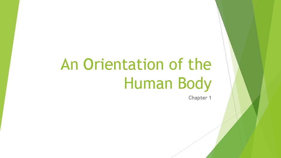 An Orientation of the Human Body Chapter 1 