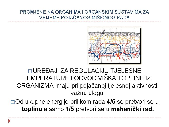 PROMJENE NA ORGANIMA I ORGANSKIM SUSTAVIMA ZA VRIJEME POJAČANOG MIŠIĆNOG RADA � UREĐAJI ZA