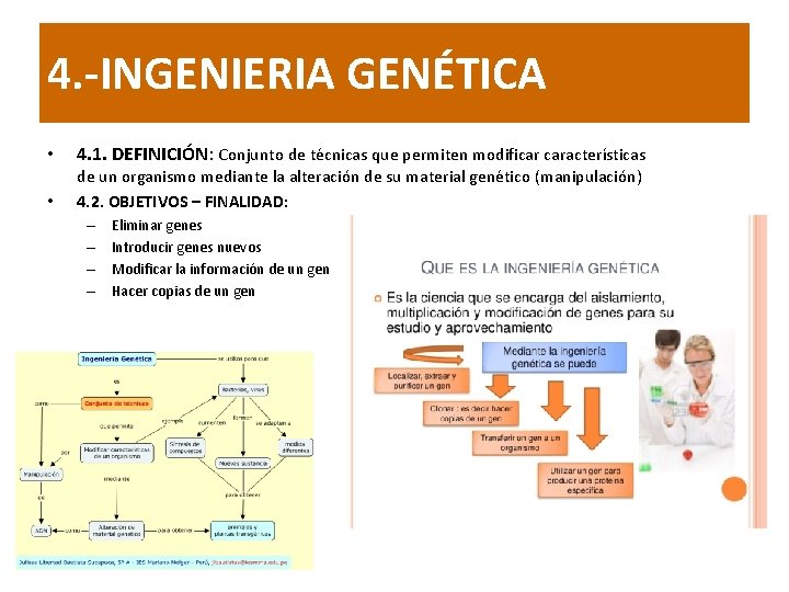 4. -INGENIERIA GENÉTICA • • 4. 1. DEFINICIÓN: Conjunto de técnicas que permiten modificar