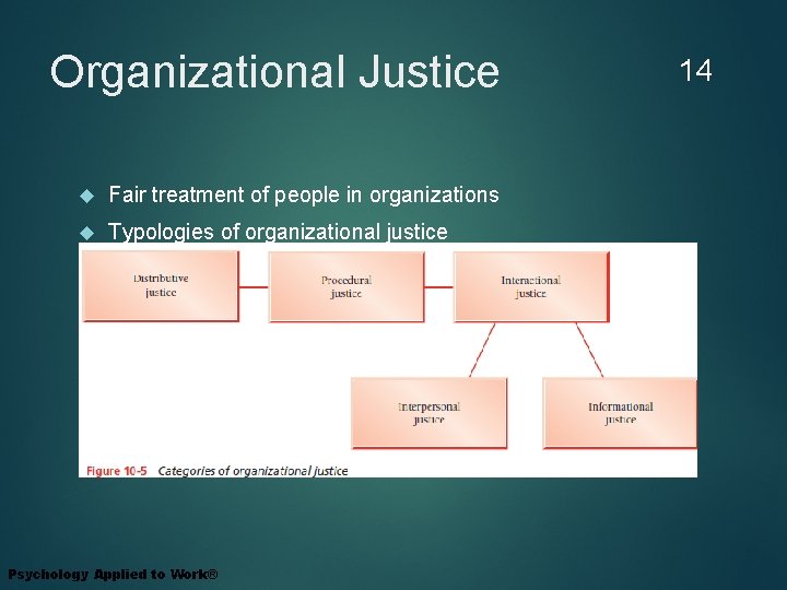 Organizational Justice Fair treatment of people in organizations Typologies of organizational justice Psychology Applied