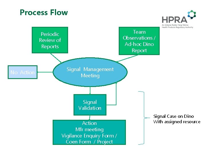 Process Flow Team Observations / Ad-hoc Dino Report Periodic Review of Reports No Action