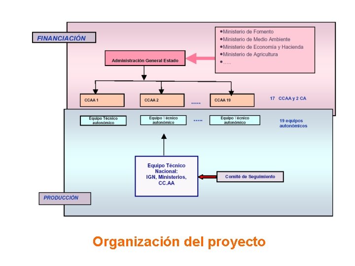 Organización del proyecto 