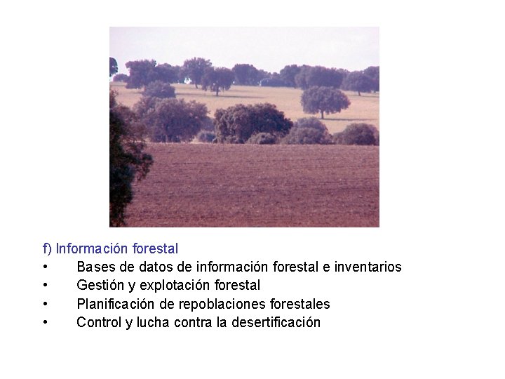 f) Información forestal • Bases de datos de información forestal e inventarios • Gestión