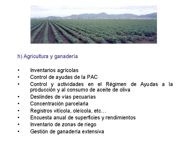 h) Agricultura y ganadería • • • Inventarios agrícolas Control de ayudas de la