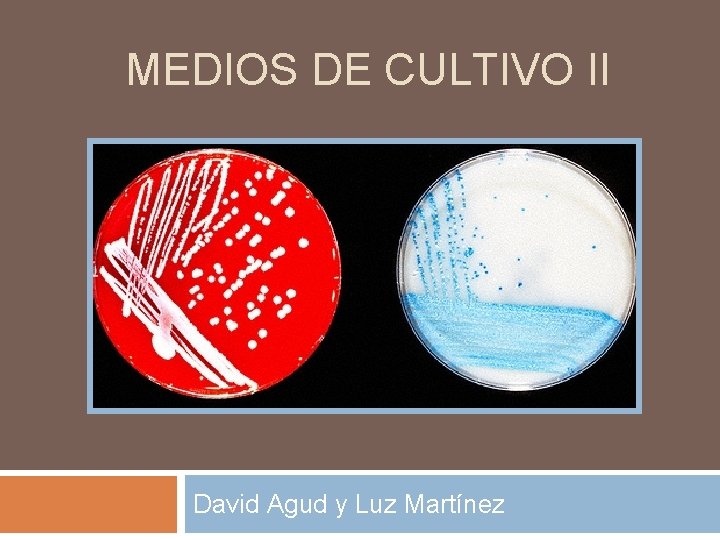 MEDIOS DE CULTIVO II David Agud y Luz Martínez 