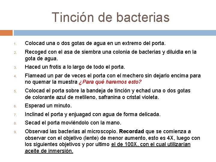 Tinción de bacterias 1. 2. 3. 4. 5. Colocad una o dos gotas de
