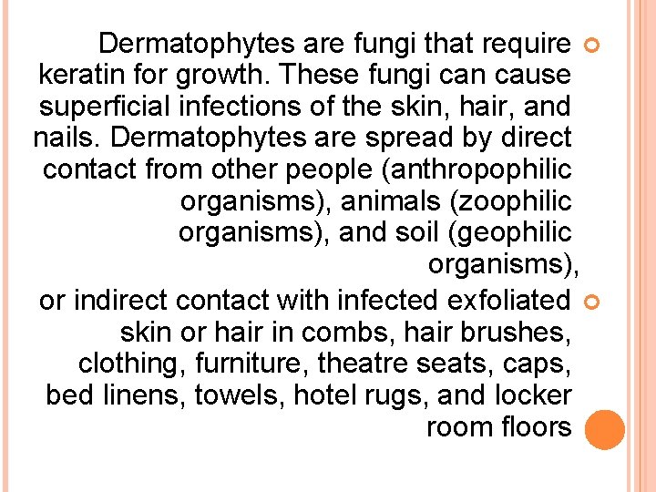 Dermatophytes are fungi that require keratin for growth. These fungi can cause superficial infections